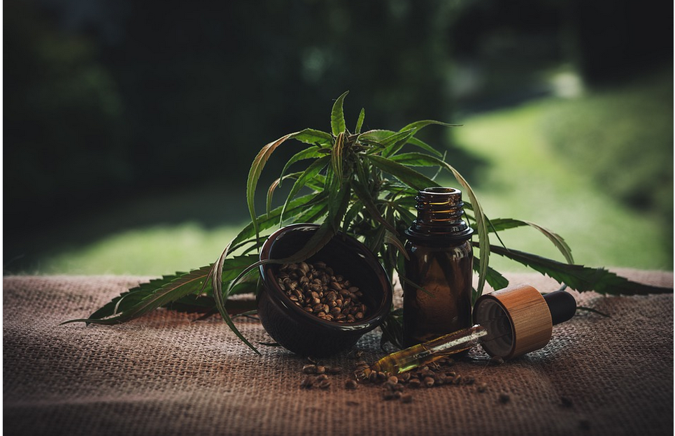 cbd oil